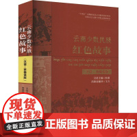 云南少数民族红色故事(汉语-西傣语版)-民族文字出版专项资金资助项目杜娟地方史志/民族史志云南人民出版社正版