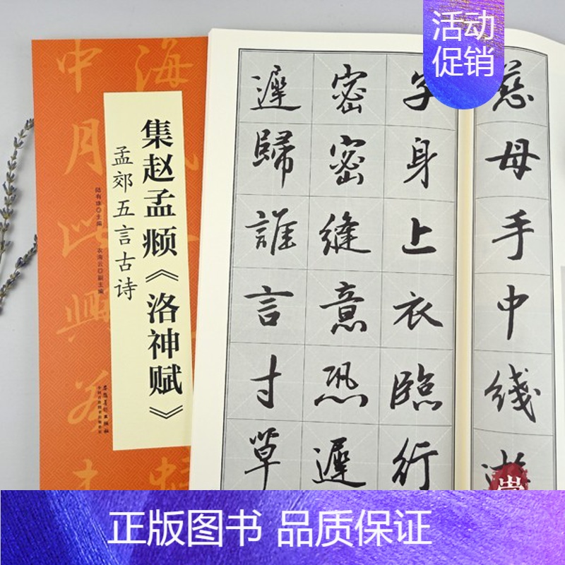 [正版]集赵孟頫洛神赋孟郊五言古诗翰墨诗词大汇中国历代名碑名帖丛书米字格单字放大学生初学入门隶书毛笔书法临摹范本陆有珠安