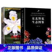 2册 野花识别手册 [正版]好奇心科普书野外识别手册全12册常见蝴蝶昆虫蘑菇鸟类植物爬行动物椿象蜘蛛两栖动物野外识别手册