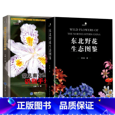 2册 野花识别手册 [正版]好奇心科普书野外识别手册全12册常见蝴蝶昆虫蘑菇鸟类植物爬行动物椿象蜘蛛两栖动物野外识别手册