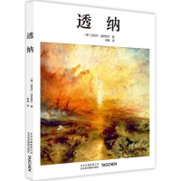 音像透纳(德)迈克尔·波科默尔 著;单慧 译