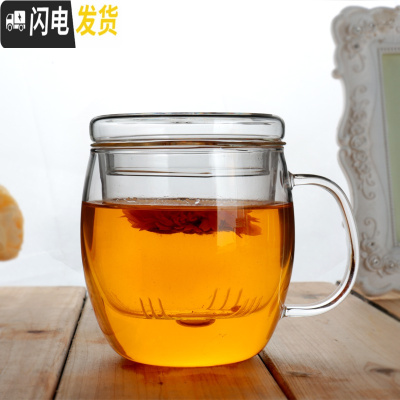 三维工匠加厚耐热玻璃杯透明带盖过滤花茶杯双层办公创意水杯女可微波茶具 480加厚大度量