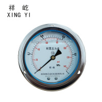 祥屹 耐震压力表轴向带边 YTN100ZT 0-1.0Mpa 块