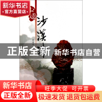正版 中国沙漠漆 商建堃 福建美术 9787539324593 书籍