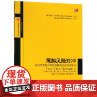 尾部风险对冲——在波动市场中创造稳健的证券投资组合