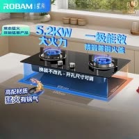 老板(Robam)[星辰系列]燃气灶家用双灶嵌入式煤气灶5.2kW可调节小尺寸灶具灶台猛火灶一级能效20B2A天然气