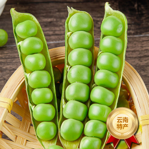 [西沛生鲜]云南新鲜豌豆 净重9斤