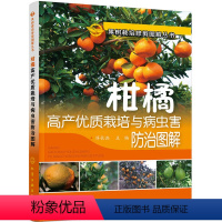 [正版]柑橘高产优质栽培与病虫害防治图解 果树种植技术大全书植物合理修剪农业种植书籍科学实用病虫害识别手册现代栽培