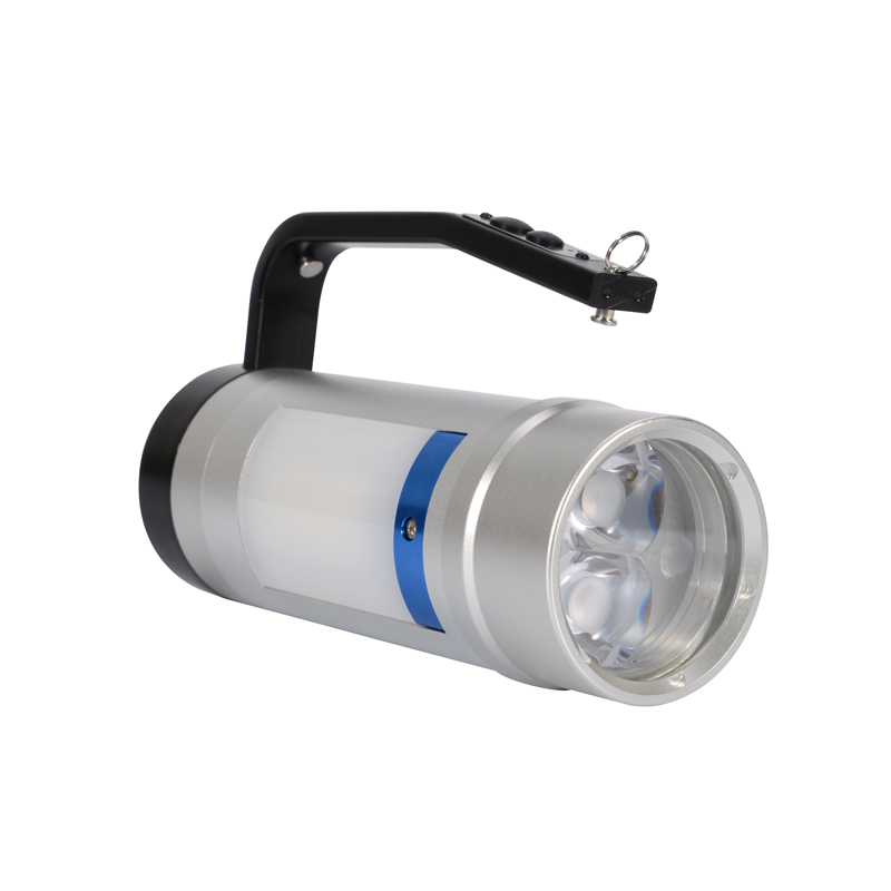 BZ4100D 多功能防爆手提灯 2×12W 6000K 22.2V IP66 ExdiaIICT6Gb(计价单位:盏)