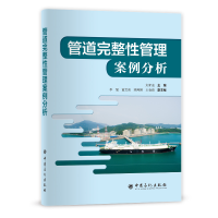 音像管道完整管理案例分析刘新凌,李强,黄文尧,梁菁嬿,王春雨 编