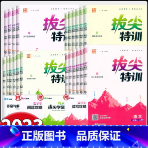 语文-人教版 三年级下 [正版]2024新版拔尖特训一二三四五六年级上下册语文数学英语人教版北师大版小学123456年级