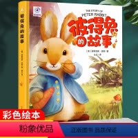 彼得兔的故事 [正版]彼得兔的故事儿童绘本故事书原著难字注音版老师小学一二三年级经典故事书全集打动孩子心灵的世界经典读物