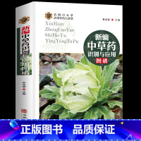 [正版]新编中草药识别与应用图谱 彩图大全书野外常见植物速查图鉴本草纲目全套神农经李时珍书籍图解中药材学 中草药大全书