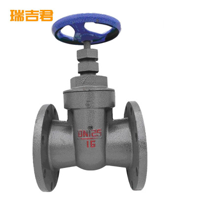 瑞吉君 闸阀 DN125 个