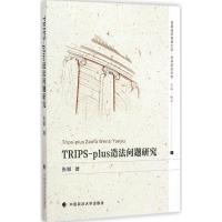 [M]TRIPS-plus造法问题研究-9787562058236
