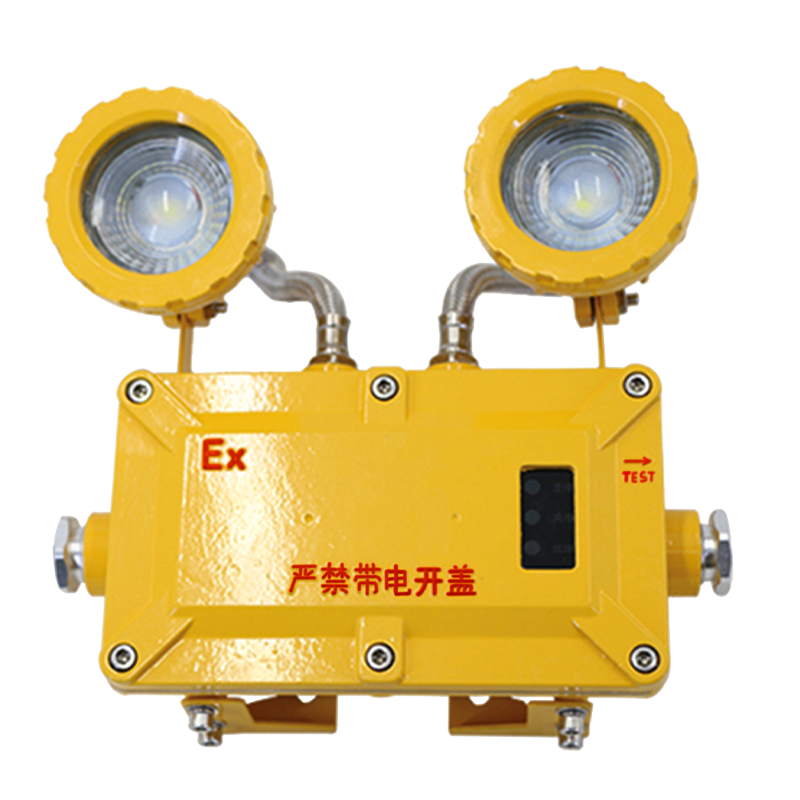 RKZN融科智能 LED防爆应急灯FYD2005 2*3w