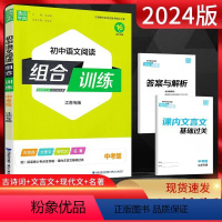 初中语文阅读组合训练 中考版 九年级下 [正版]2024年新版通城学典初中语文阅读组合训练 中考版 江苏专版中学生语