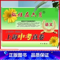 [正版]2025灿烂在六月语文 上海中考真卷2013-2024年版分类汇编合集含答案中西书局上海市各区初中初三九年级模