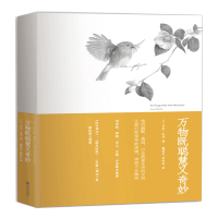 音像万物既聪慧又奇妙(英)吉米·哈利