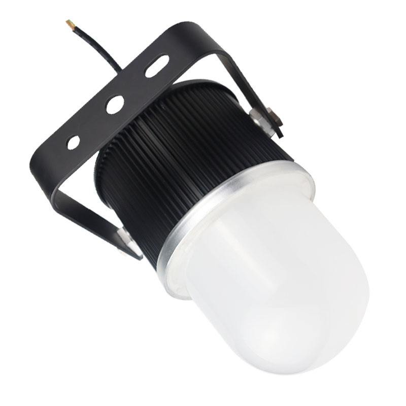 鼎晟丰(DSF) DSFG-920A-30 30W IP66 5500K LED环照灯 (计价单位:个) 黑色