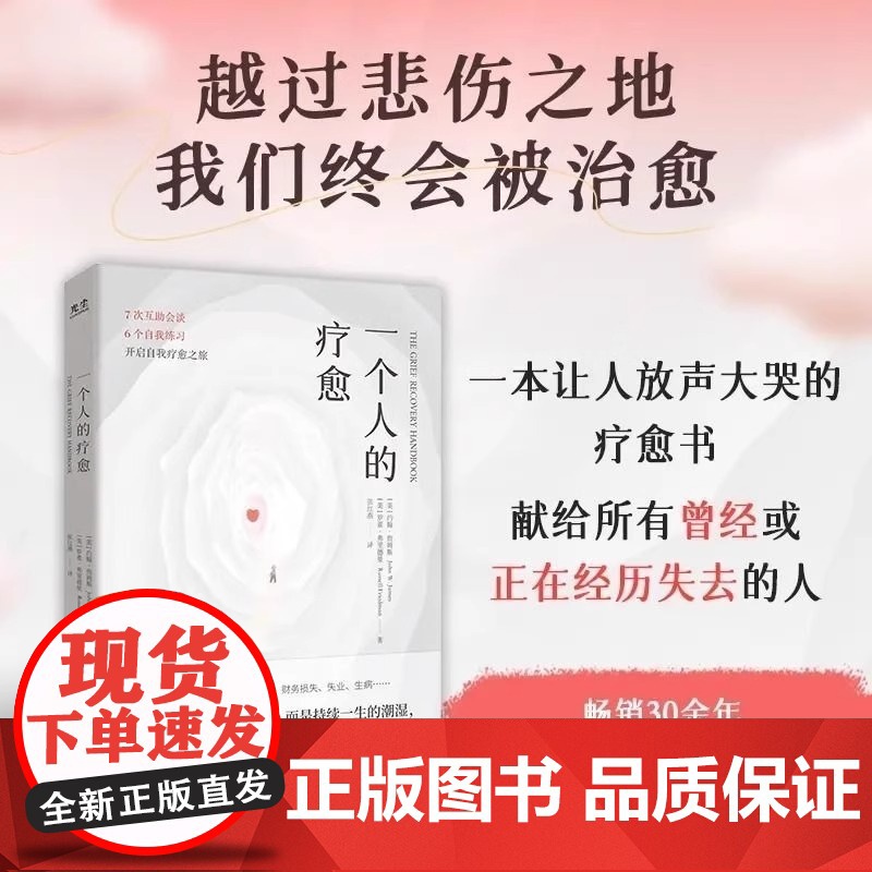 正版 一个人的疗愈越过悲伤之地我们终会被治愈 一本让人放声大哭的疗愈书 7次互助会谈6个自我练习开启自我疗愈之旅 樊
