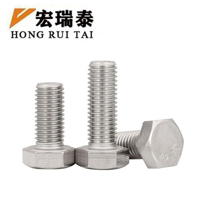 宏瑞泰 不锈钢六角螺栓 4.8级 M12*100 个
