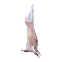 塞上滩 宁夏盐池滩羊整只36斤生鲜羊肉烤全羊新鲜羊排羊腿绵羊