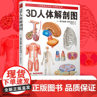 3D人体解剖图200个精密3D图例人体肌肉解剖运动解剖学断层局部解剖学图谱教材卫生解剖生理学专业基础医学图谱人体解剖学书