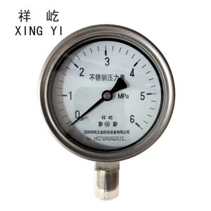 祥屹+不锈钢耐温压力表检测定制型+Y100BF+块