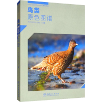 [M]鸟类原色图谱-9787521901528