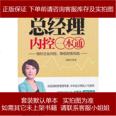 总经理内控通汤婧平9787545410938