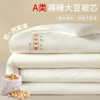 冬季大豆纤维被a类大豆被子秋冬加厚保暖双人冬被宿舍单人被芯春