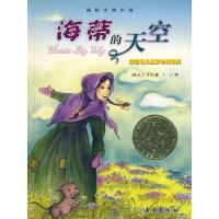 正版新书]海蒂的天空(美)莱森 丁凡9787530743010