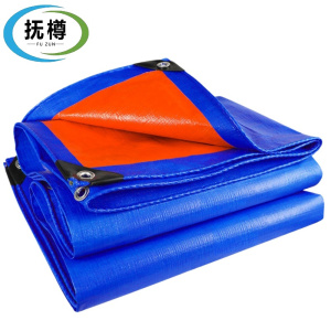 抚樽