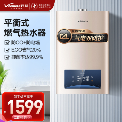 万和 二级能效 12升平衡式燃气热水器天然气恒温 可装浴室 主动防CO中毒 ECO节能JSG24-WE3W12