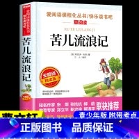 [附带考试重点]苦儿流浪记 [正版]汤姆索亚历险记 马克吐温原着必读六年级下册课外书的经典书目快乐读书吧阅读书籍汤姆.索