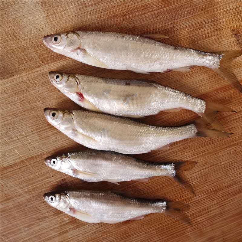 赛卡伊 新鲜白条餐条小刁子翘嘴鱼柳叶鱼白丝鱼现杀去内脏现发 中小号