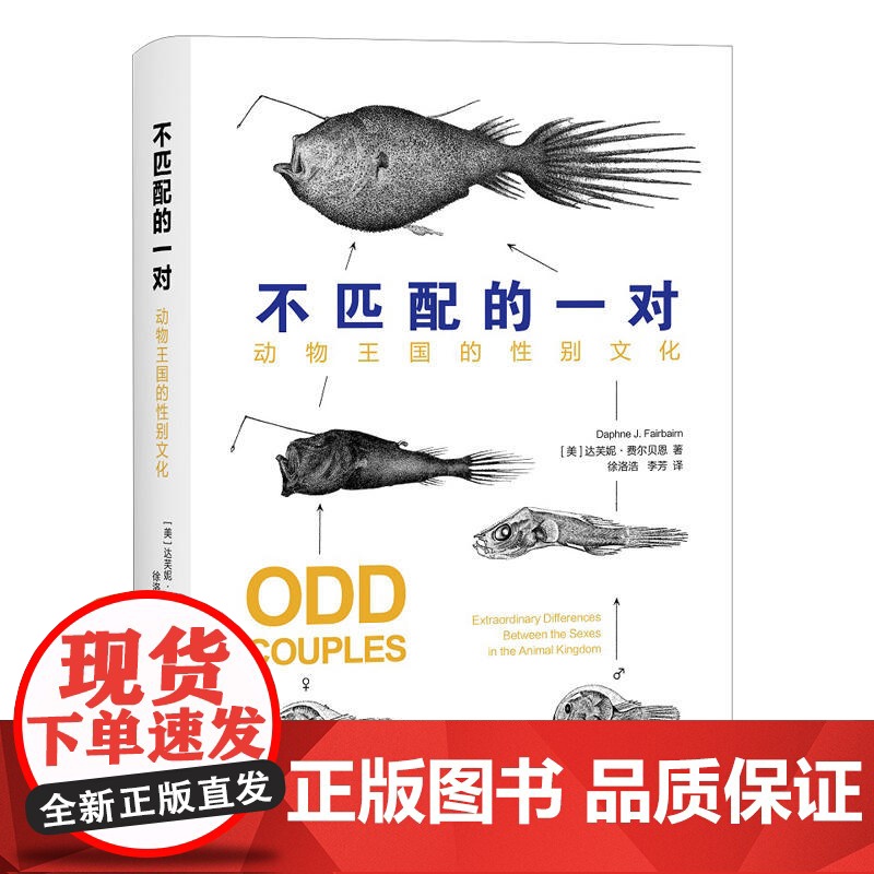 不匹配的一对——动物王国的性别文化