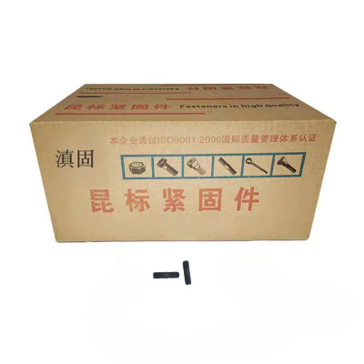 滇固 双头螺栓 M10*22mm /个