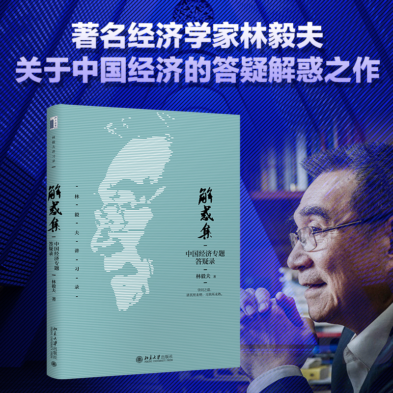 音像解惑集:中国经济专题答疑录林毅夫著林毅夫