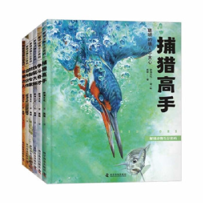 正版新书]解锁动物生存密码(全6册)懿海文化9787110105429
