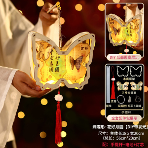 国风灯笼3750