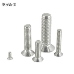 境程永信 304不锈钢沉头螺钉6*55 个