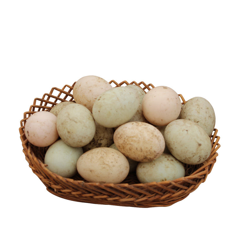 新鲜生鸭蛋正宗微山湖新鲜生鸭蛋农家生态放散养青皮绿壳鸭蛋 现捡[50