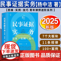 民事证据实务:思维·实例·技巧 杨中洁著 法律出版社