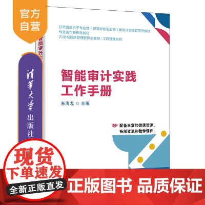 [正版新书]智能审计实践工作手册 朱海龙、魏梦莹、屠鸣 清华大学出版社 智能审计实践