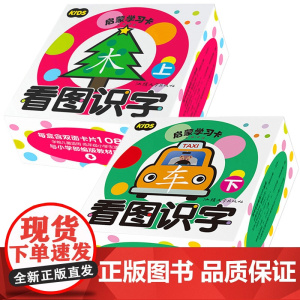 全两盒看图识字卡上下带注音幼儿园学习教材 0-3-6岁宝宝启蒙认知早教书益智识字书 幼儿认字 简单汉字识字卡片 学龄前儿