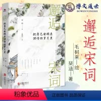 [正版]邂逅宋词 把自己安顿在深情的岁月里 北京联合出版有限公司