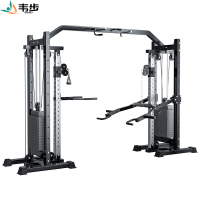 韦步XJL-0109大飞鸟龙门架家用多功能一体器材高位下拉综合器械