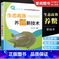 [正版]生态高效养鳖新技术 彭刚 化学工业出版社 鳖的生物学特性 养殖场的规划设计与建造 养殖池塘结构与建造甲鱼养殖饲